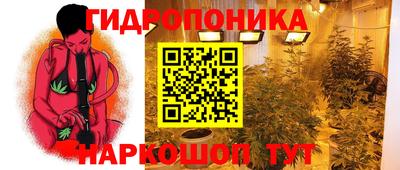 ALPHA PVP Нальчик