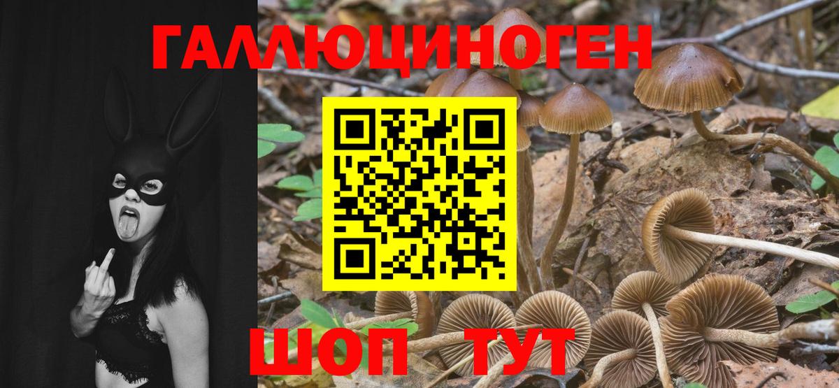 Галлюциногенные грибы ЛСД Ялта